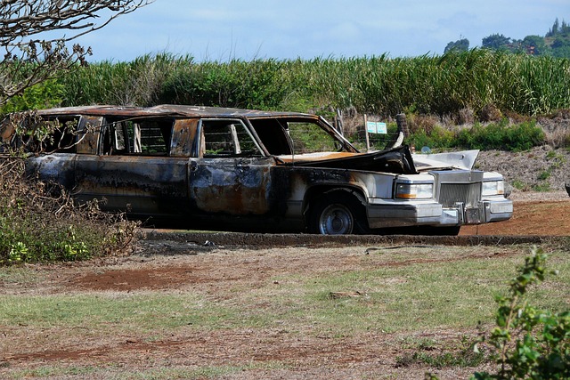 Affordable Hotels in Maui Near Kahului Airport With Shuttle