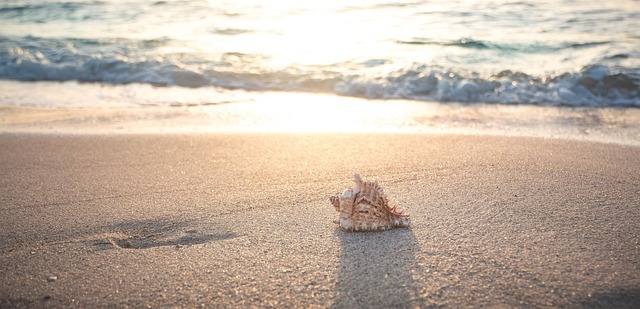 Best Beaches in Florida for Summer Vacation