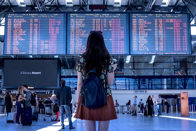 Best Hotels in Phoenix Near Airport for Quick Layover Travelers