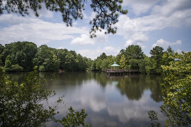 Best Things to Do in Atlanta Georgia for First Time Visitors