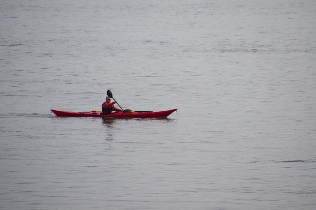 Best Things to Do in Portland Oregon for Food and Nature Lovers