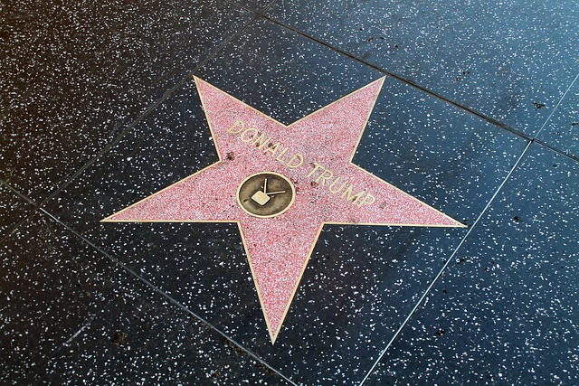 Budget Hotels in Hollywood Near Walk of Fame Attractions