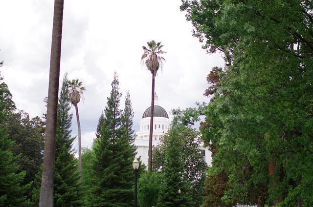 Comfortable Hotels in Sacramento California Near Capitol