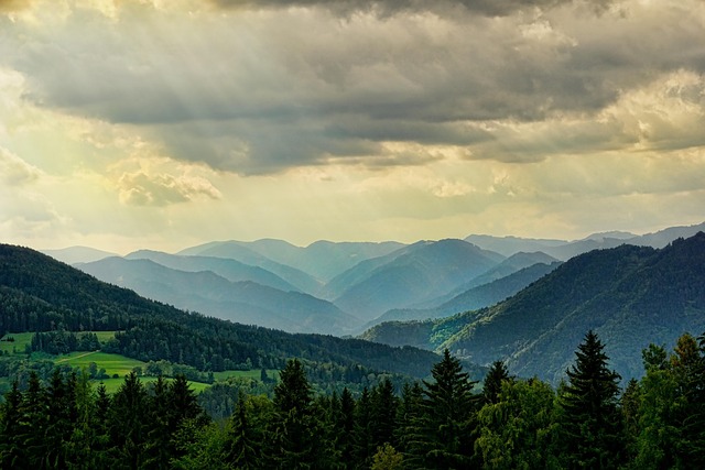 Comfortable Villas in Tennessee Hills