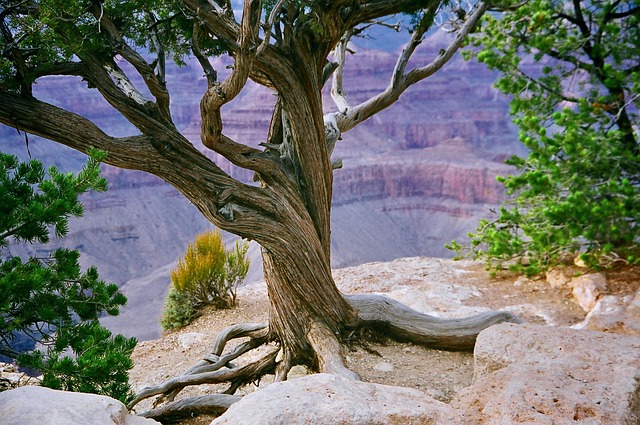 Complete Guide to Visiting Grand Canyon National Park