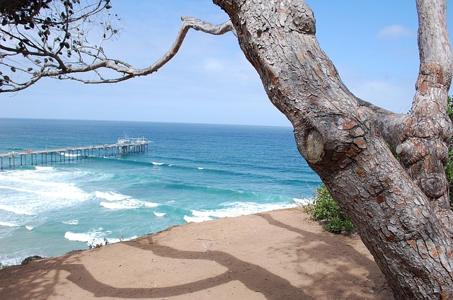 Hidden Spots in La Jolla With Coastal Views