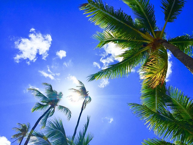 Honeymoon Resorts in Hawaii and California Style