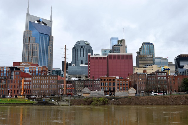 Luxury Villas in Nashville Tennessee With Music City Style