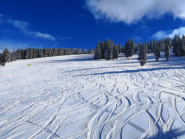 Mountain Resorts in Colorado With Ski Access