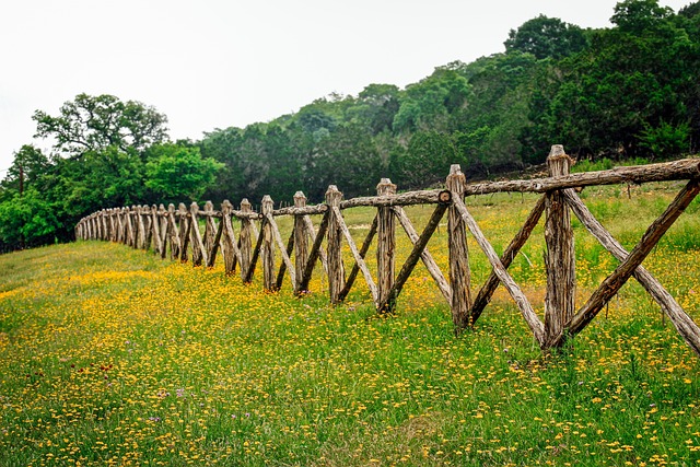 Need Nature Escape These Texas Hill Country Hotels Are Hidden Gems