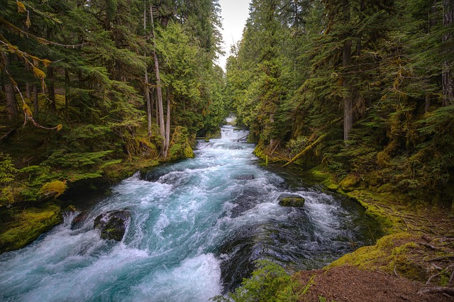 Relax Resorts in Hood River Oregon With Outdoor Activities