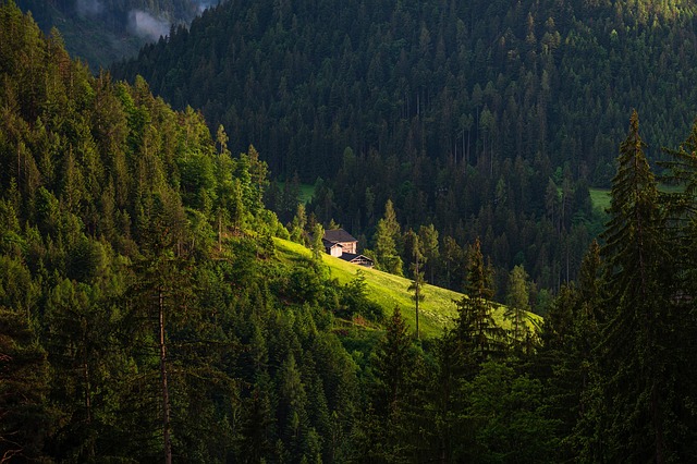 Remote Resorts in Telluride With Peaceful Mountain Stay