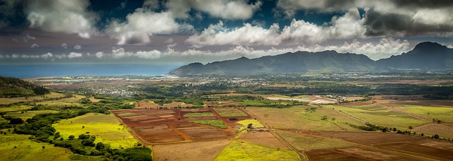 Scenic Beaches in Kauai Hawaii With Nature Views