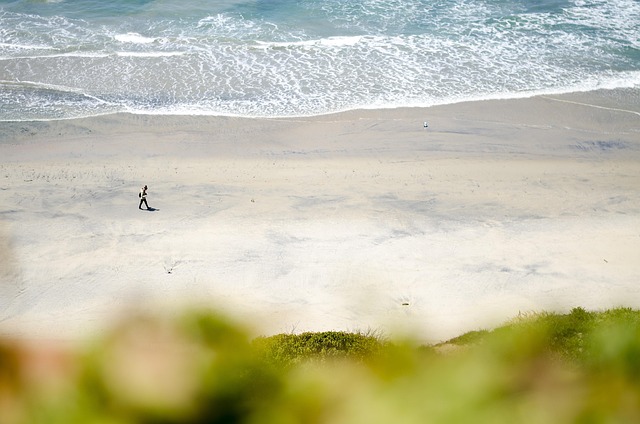 Scenic Beaches in Pacific Beach San Diego