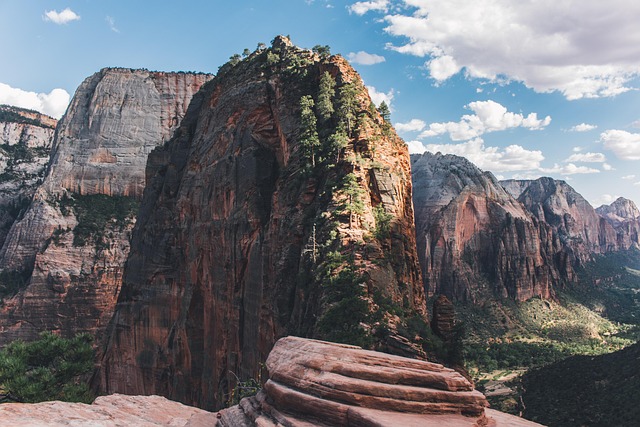 Scenic Views in Zion National Park