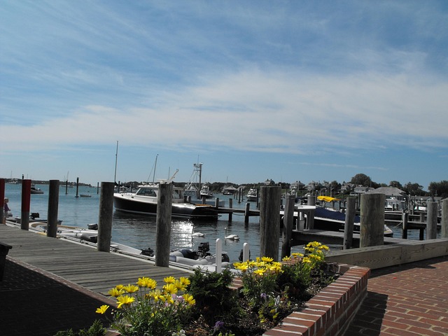 Scenic Villas in Martha Vineyard With Island Views