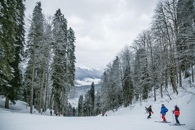 Ski Resorts in Park City With Full Winter Experience