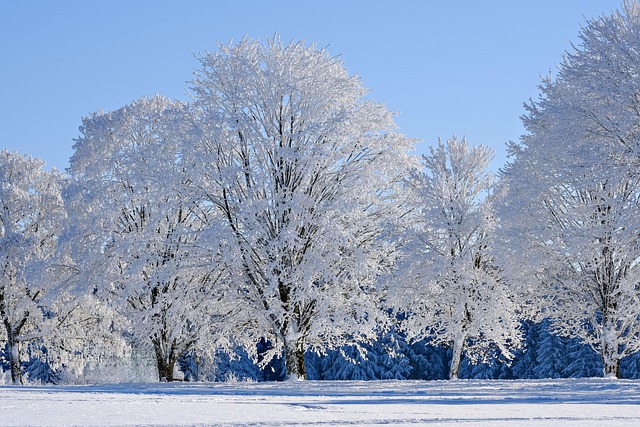 Top Villas in Colorado for Winter Stay