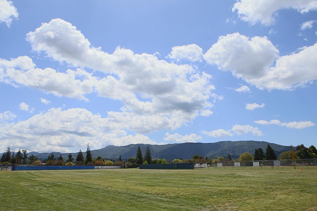 Travel Tips in San Jose Silicon Valley